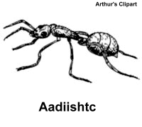 ant illustrations