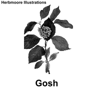 deciduous tree & shrub illustrations