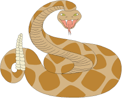 ../images/rattlesnakeCOL.gif